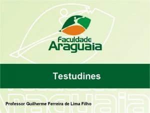 Testudines Professor Guilherme Ferreira de Lima Filho Amniota