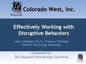 Effectively Working with Disruptive Behaviors Amy Gallagher Psy
