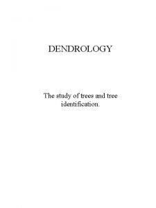 Dendrology tree identification