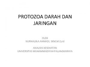 PROTOZOA DARAH DAN JARINGAN OLEH NURHALINA AHMADI SKM