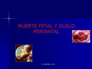 MUERTE FETAL Y DUELO PERINATAL M T CARDEMIL