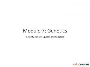 Module 7 Genetics Heredity Punnett Squares and Pedigrees