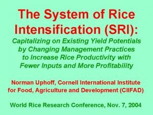 The System of Rice Intensification SRI Capitalizing on