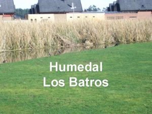 Humedal Los Batros Construccin de viviendas sobre Humedal