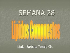 SEMANA 28 Licda Brbara Toledo Ch Clasificacin de