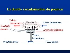 La double vascularisation du poumon Veines pulmonaires Oreillette