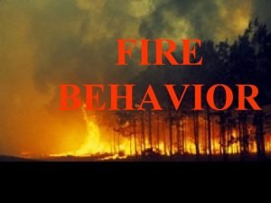FIRE BEHAVIOR Three types of fire behavior Surface