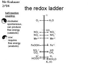 Nir Krakauer 2 04 the redox ladder halfreaction