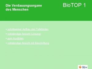 Die Verdauungsorgane des Menschen schrittweiser Aufbau des Tafelbildes