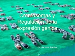 Cromosomas y Regulacin de la expresin gnica Por