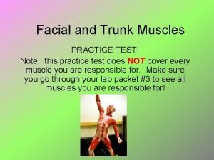 Facial and Trunk Muscles PRACTICE TEST Note this