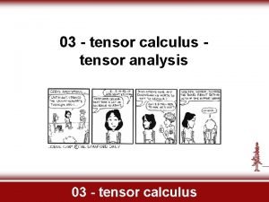Scalar vector tensor
