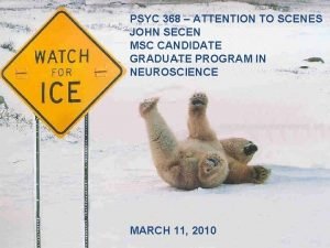 PSYC 368 ATTENTION TO SCENES JOHN SECEN MSC