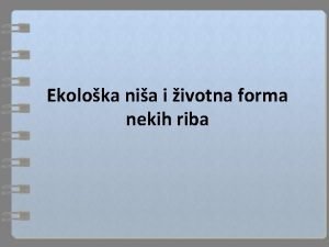 Ekološka niša primer