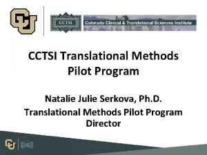 Cctsi pilot grant