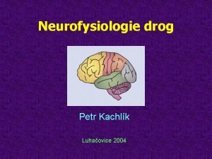 Neurofysiologie drog Petr Kachlk Luhaovice 2004 Zpracovno podle