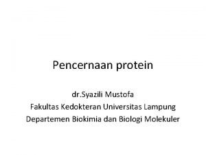 Metabolisme protein