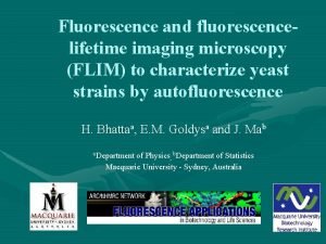 Fluorescence and fluorescencelifetime imaging microscopy FLIM to characterize