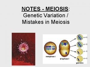 NOTES MEIOSIS Genetic Variation Mistakes in Meiosis RECALL