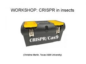 WORKSHOP CRISPR in insects Christine Merlin Texas AM