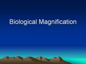 Biological Magnification Biological Magnification The problem occurs when