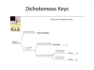 Dichotomous Keys Virtual Dichotomous Key Activity http nationalzoo