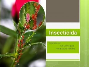 Insecticida Preparado por Yuli Domnguez Portal Educa Panam