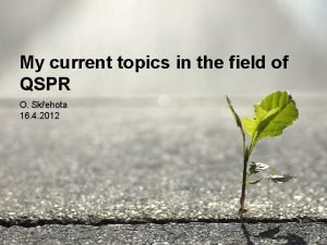 My current topics in the field of QSPR