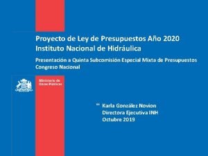 Proyecto de Ley de Presupuestos Ao 2020 Instituto