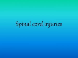 Spinal cord injuries Overview Anatomy of the spinal