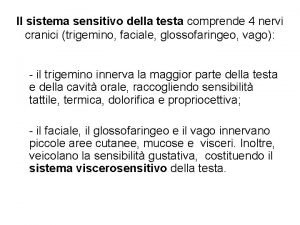 Il sistema sensitivo della testa comprende 4 nervi