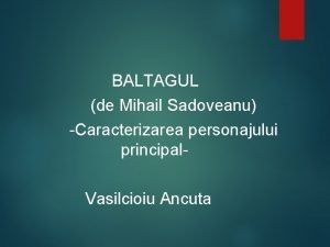 Caracterizare personaj baltagul