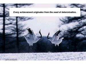 Every achievement originates from the seed of determination