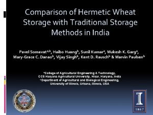 Comparison of Hermetic Wheat Storage with Traditional Storage
