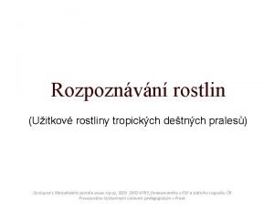 Rozpoznvn rostlin Uitkov rostliny tropickch detnch prales Dostupn