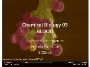 Chemical Biology 03 BLOOD Biomolecular Structure Protein Structure