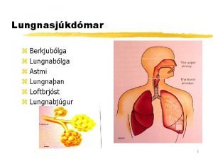 Lungnasjkdmar z Berkjublga z Lungnablga z Astmi z