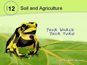 CHAPTER 12 Soil and Agriculture Possible Transgenic Maize