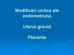 Modificri ciclice ale endometrului Uterul gravid Placenta Uter