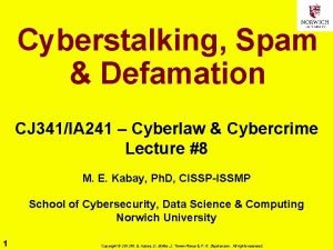 Cyberstalking Spam Defamation CJ 341IA 241 Cyberlaw Cybercrime