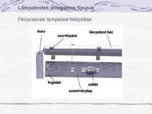 Lmpatestek jellegzetes tpusai Fnycsves lmpatest felptse Lmpatestek jellegzetes