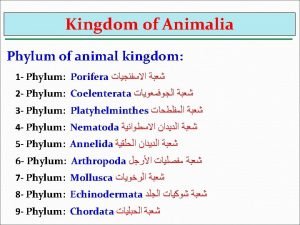 1 Phylum Porifera Systematic Position Kingdom Animalia Subkingdom