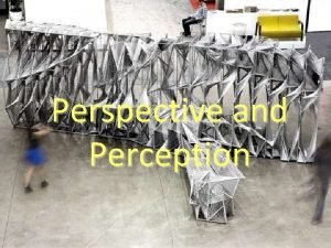 Perspective vs perception
