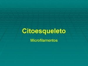 Ensamblaje de microfilamentos