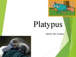 Platypus Made by Mrs Everham NAME Duck Billed