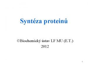 Syntza protein Biochemick stav LF MU E T