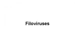 Filoviruses Filoviruses Filoviridae Marburg and Ebola viruses filamentous