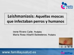 Leishmaniasis Aquellas moscas que infectaban perros y humanos