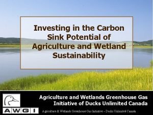 Investing in the Carbon Sink Potential of Agriculture