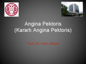 Prof dr irem dinçer